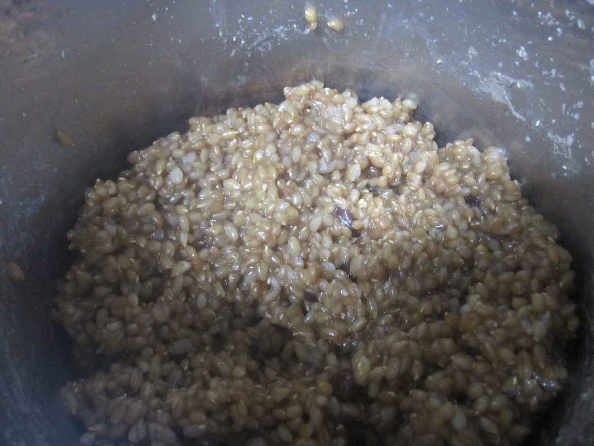 I Pressure Cooked Rye Berries The Ikigai Diet