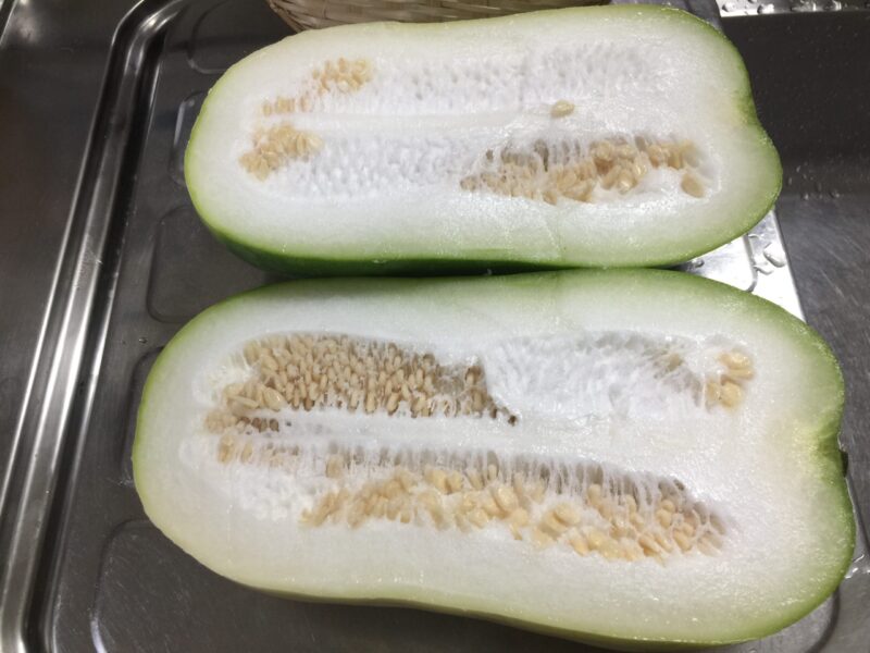 The Wildly Grown Squash Looking Plant Was a Winter Melon The Ikigai Diet