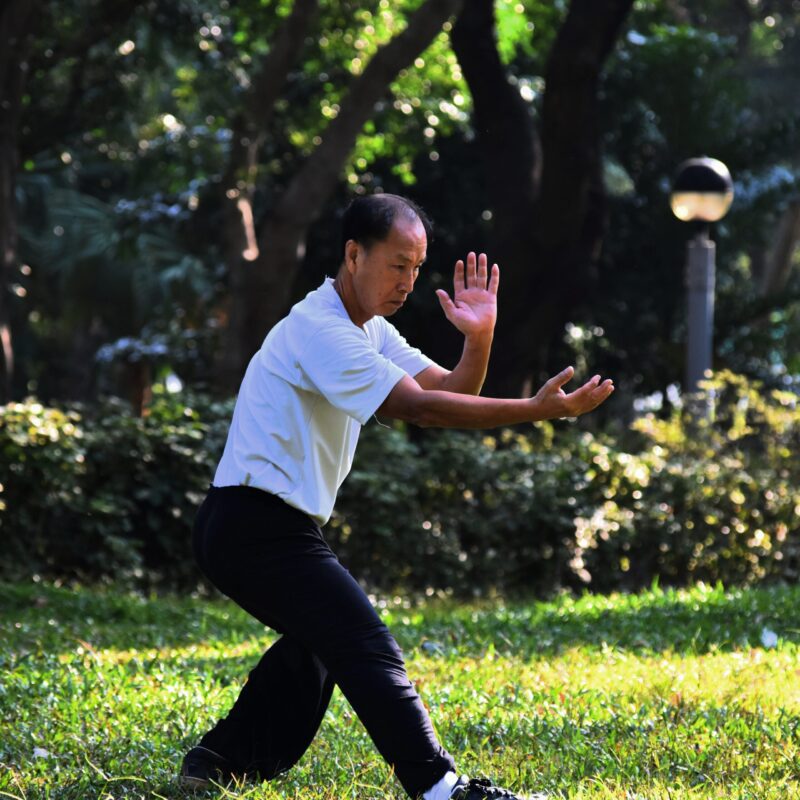 I think Tai chi or Qigong Movement is Similar to Beginning Movement